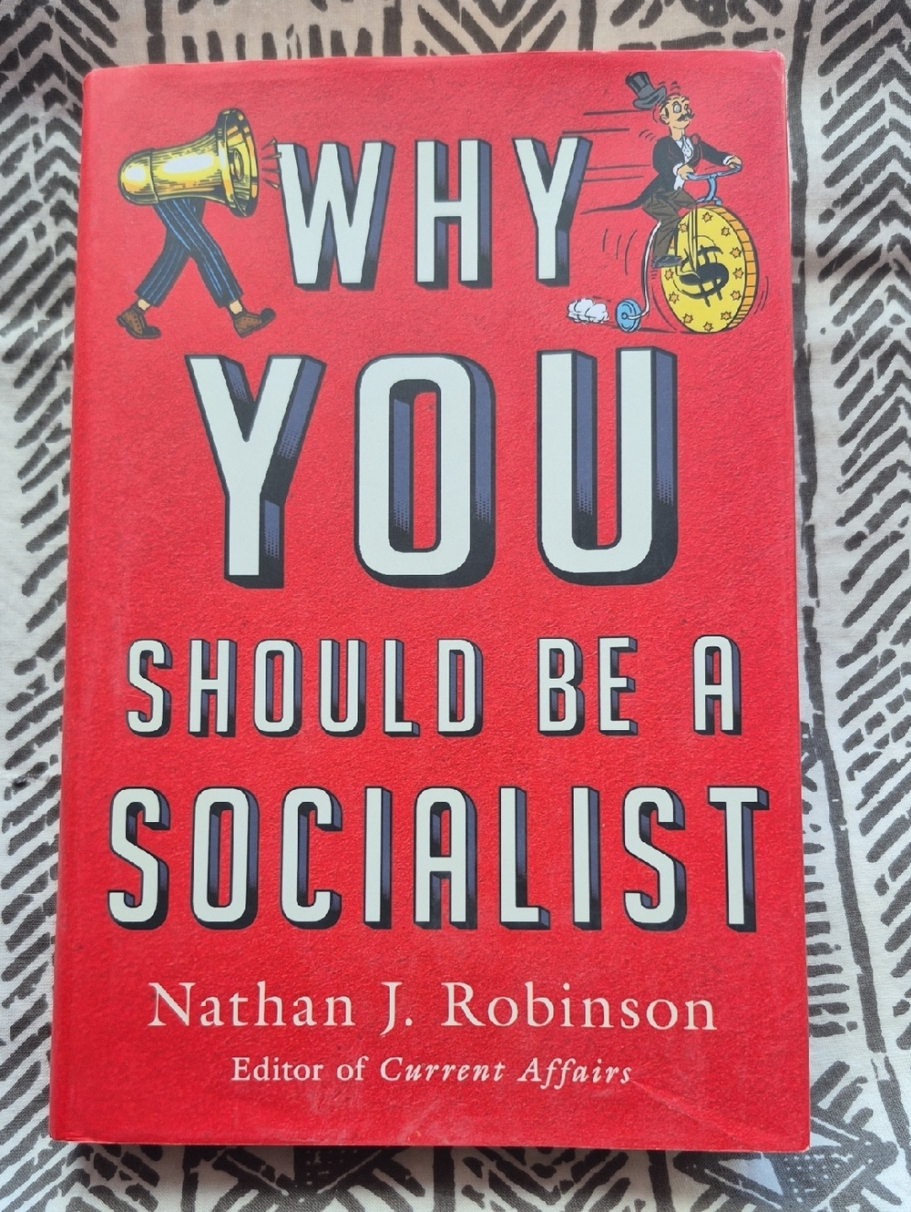 Why You Should Be a Socialist by Nathan J. Robinson - Red Cover